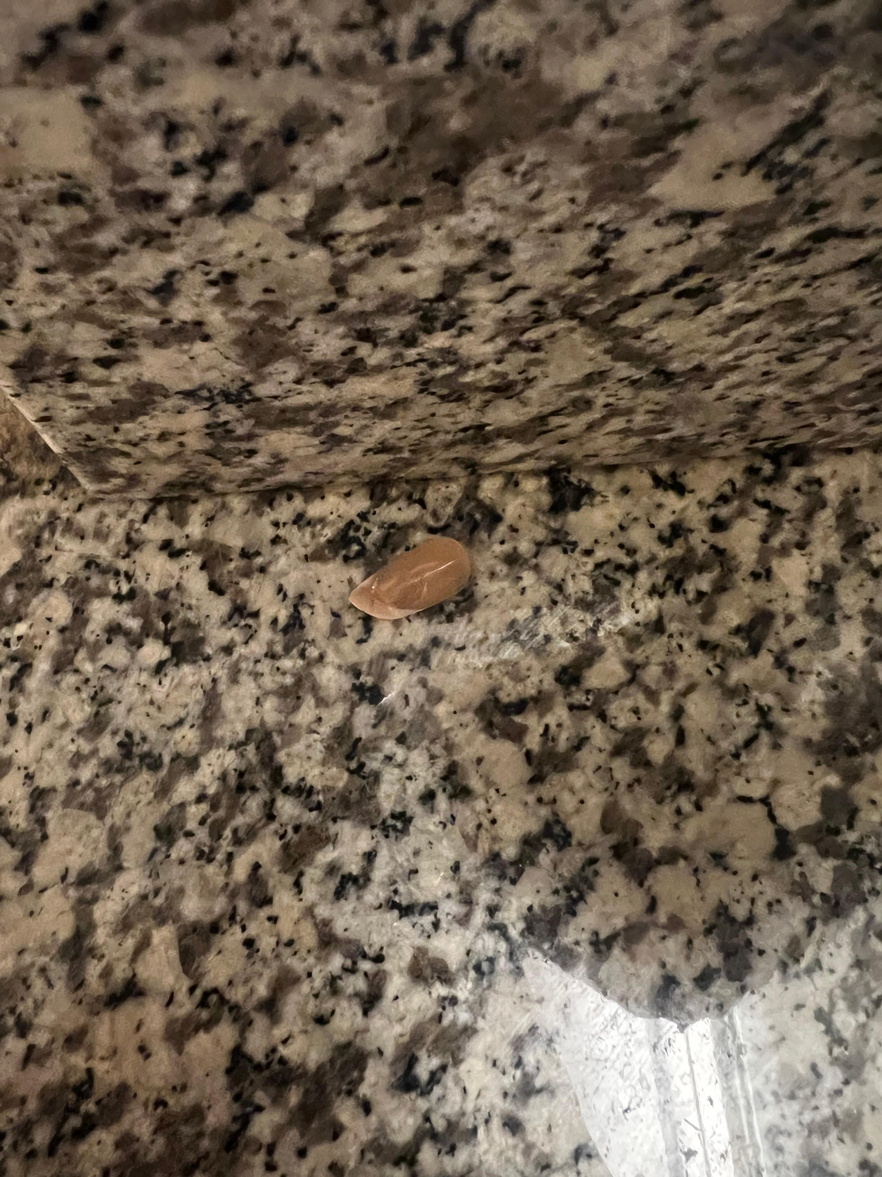 Nail on countertop