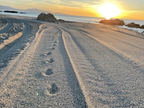 Morgens am Strand