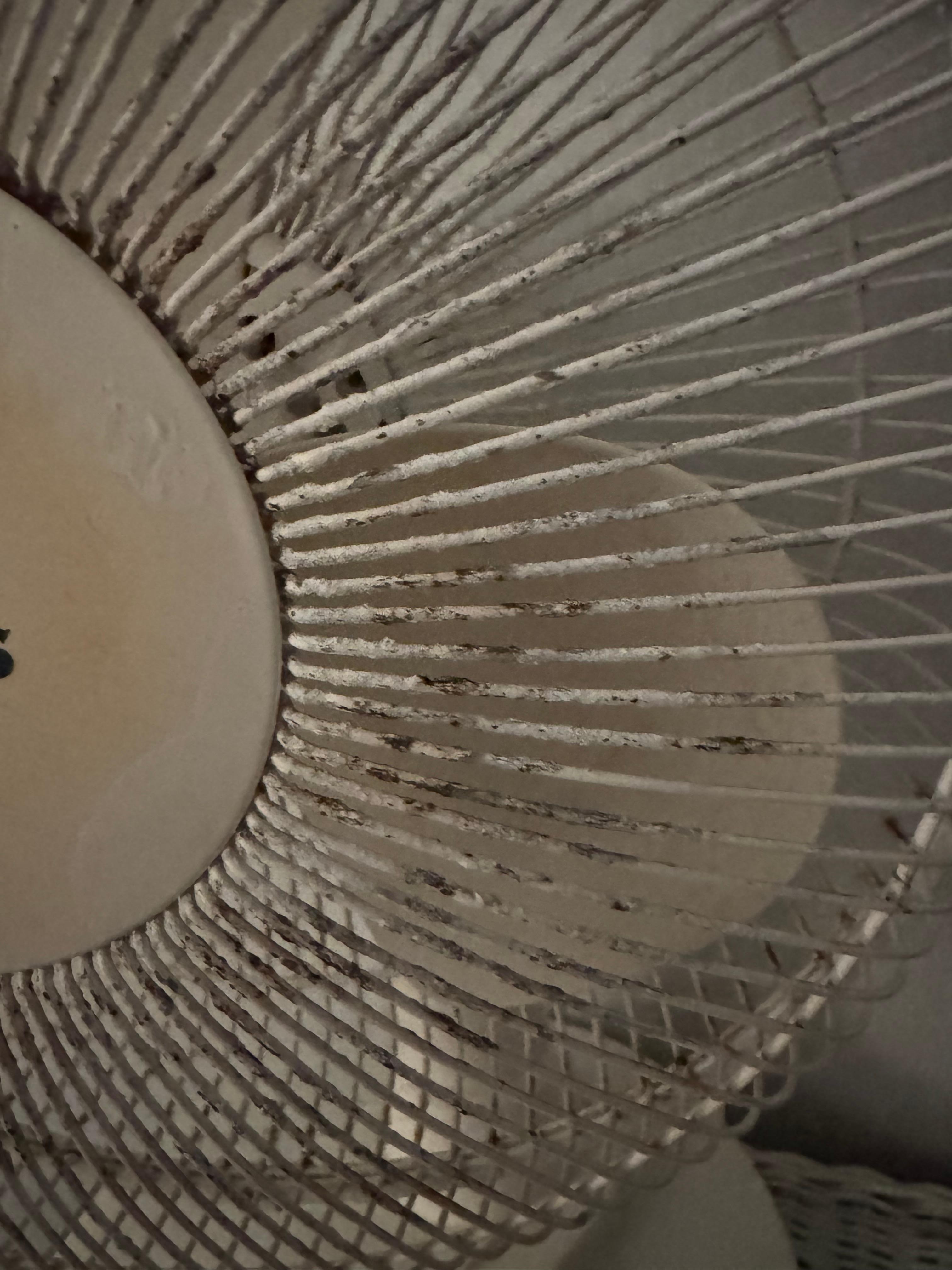 To blow into your lungs