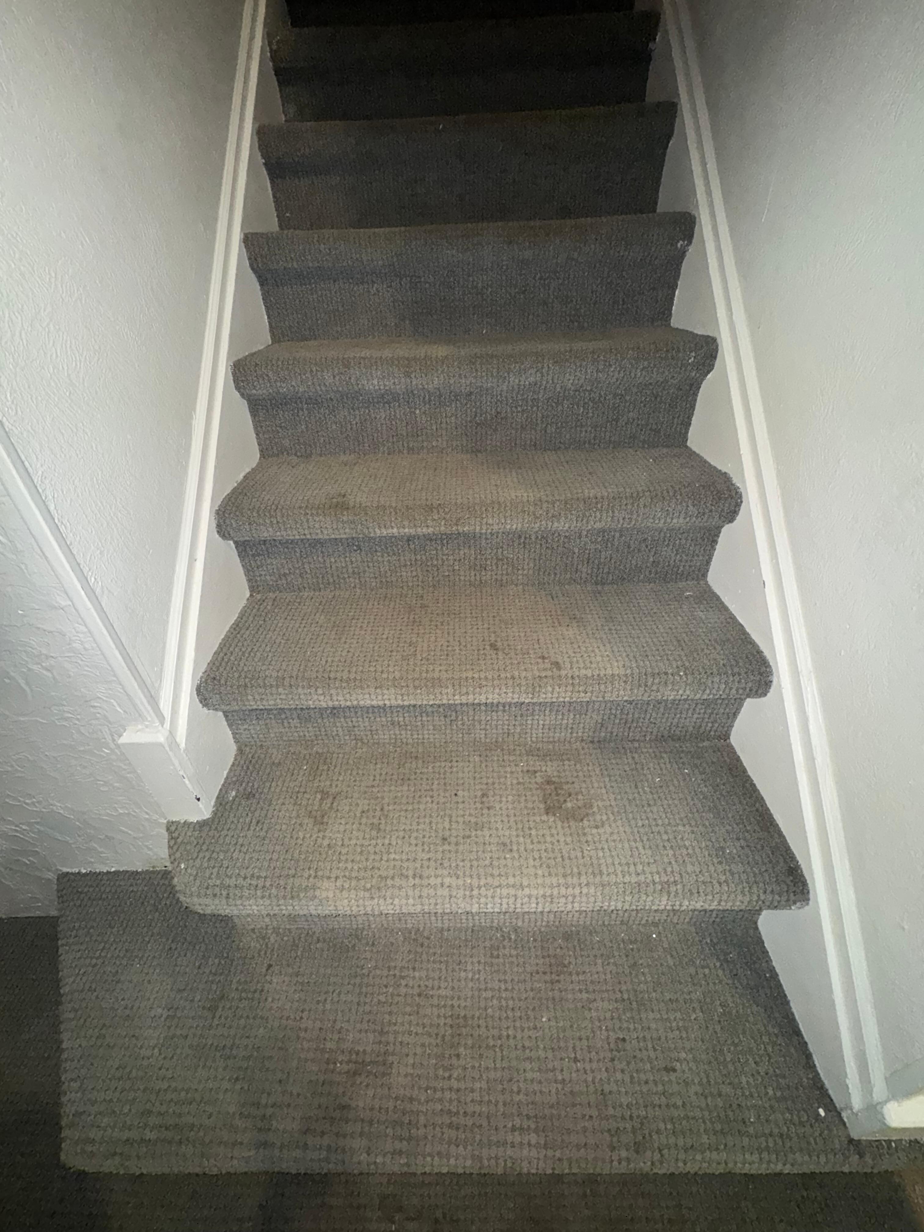 stain floors