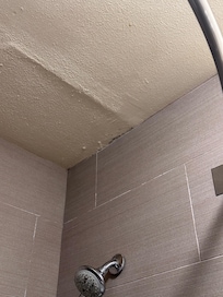 The mold and water damage