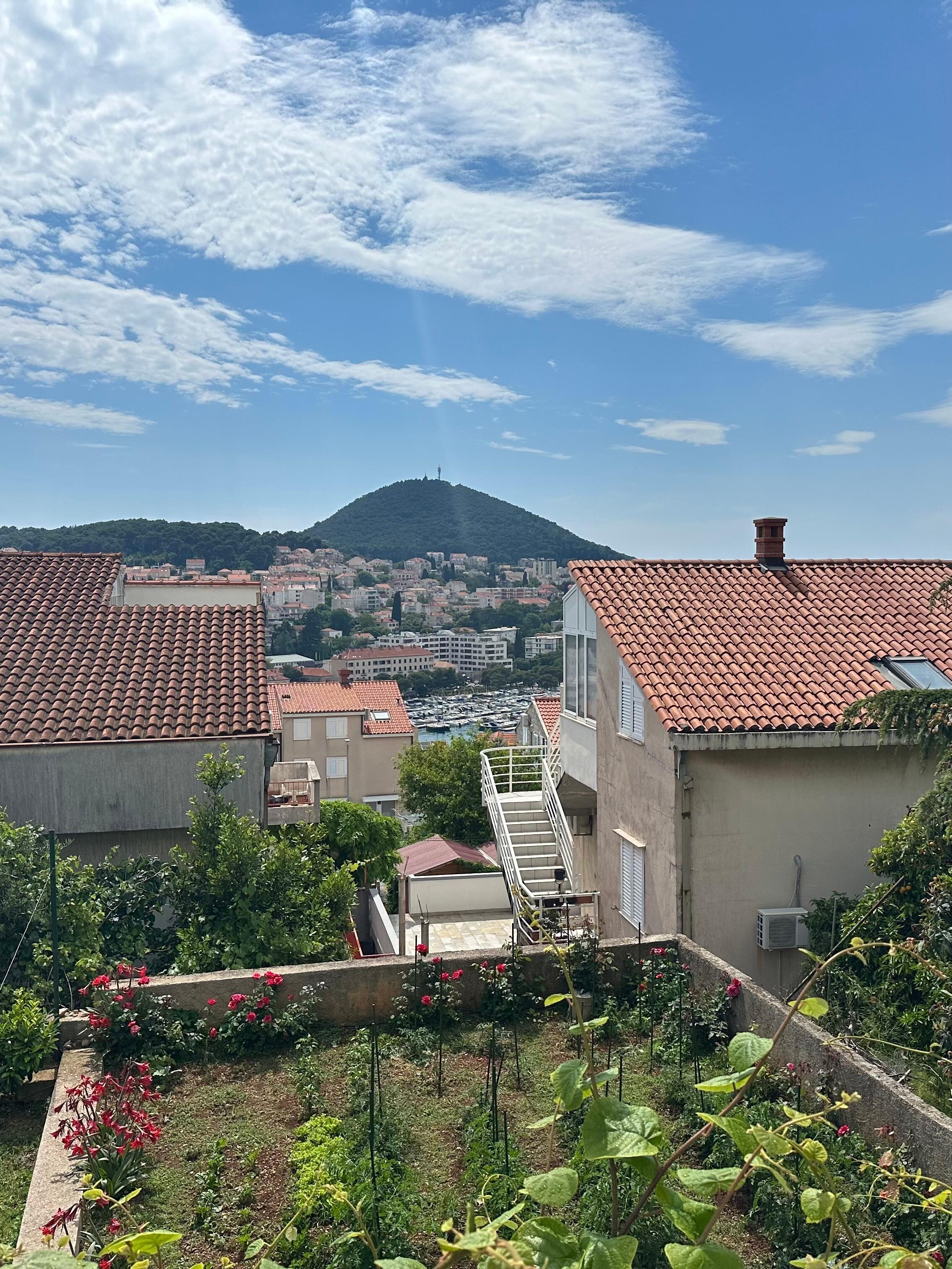 View from the balcony