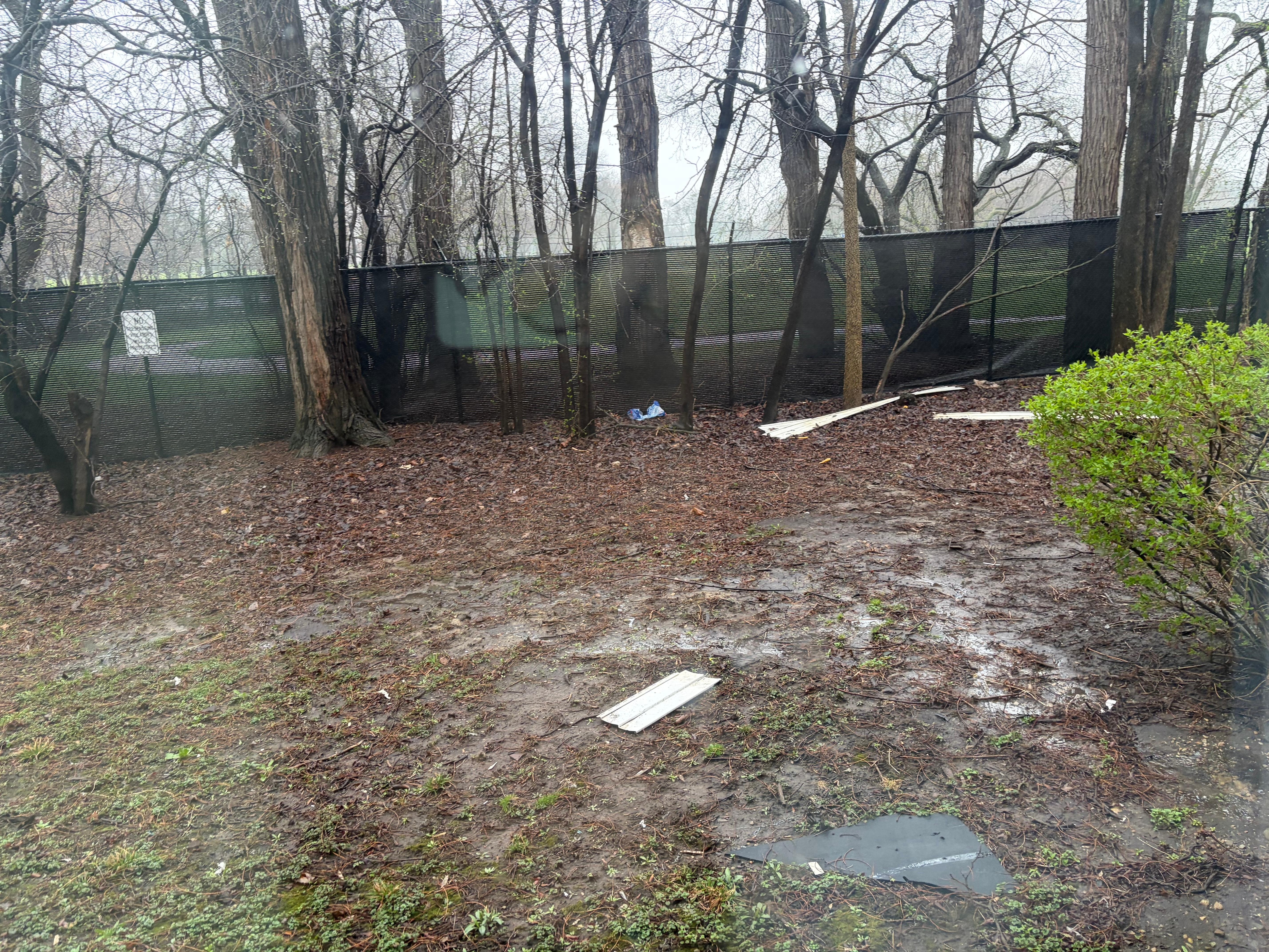 Trash around the property