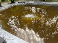 Definitely a swamp, we were pretty sure that bulge was a body.