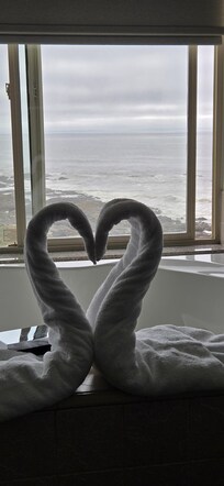 Jacuzzi tub was amazing while looking out at the beach.