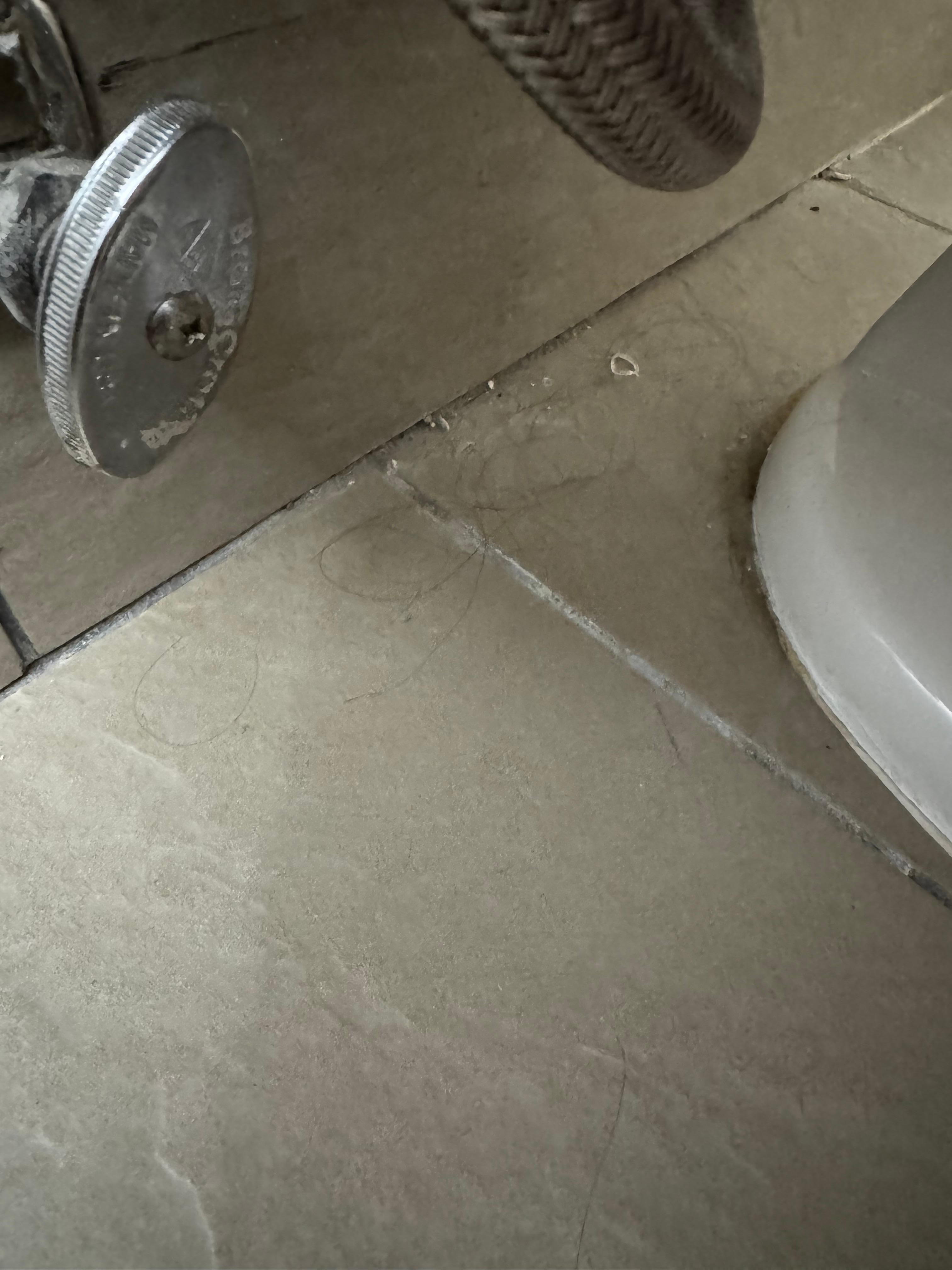 Why isn’t the toilet cleaned? Look at all that hair and debris. Yuk