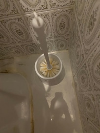 Brosse à toilette