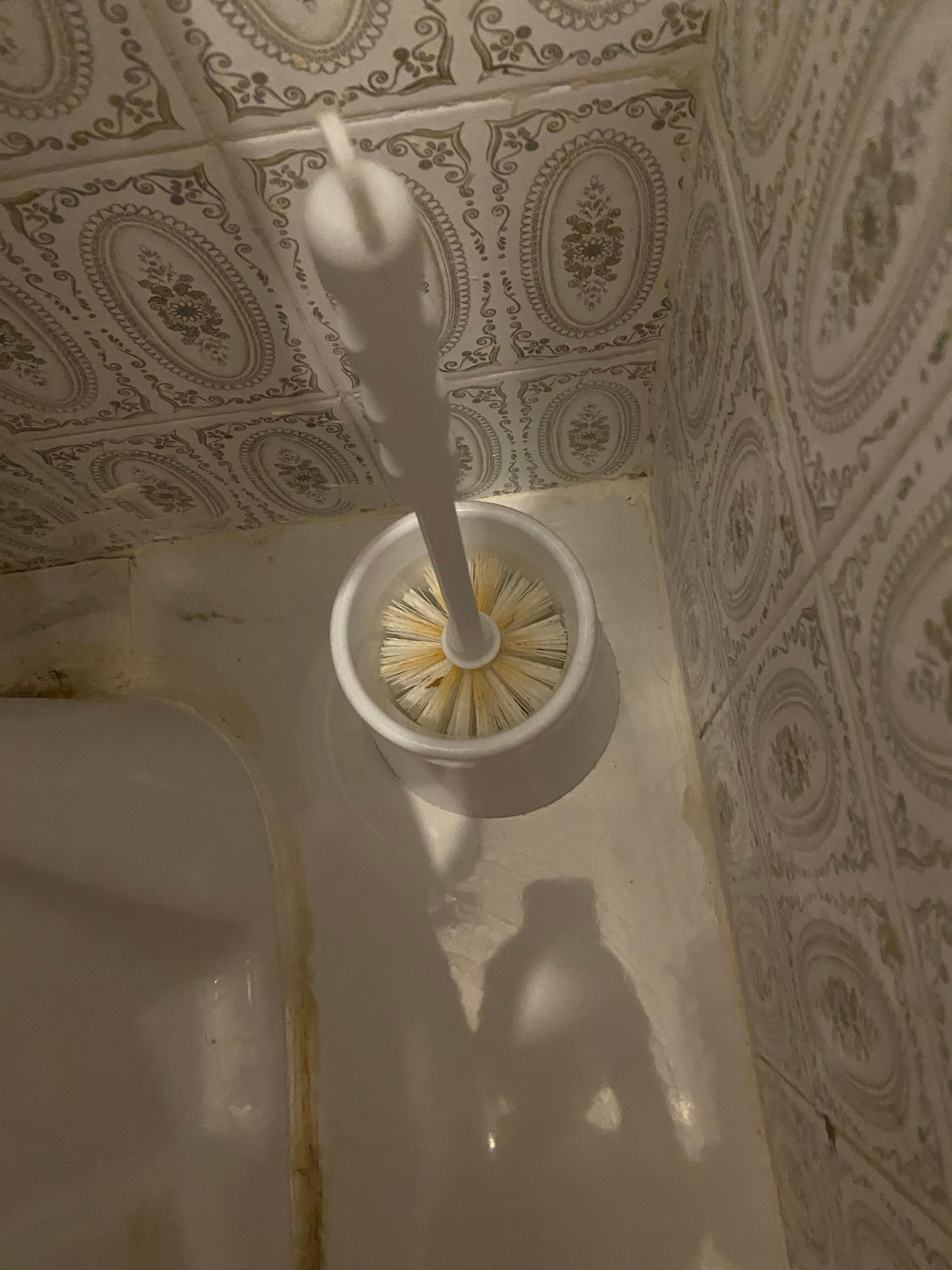 Brosse à toilette