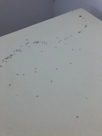 Chef hat noch uns beschuldigt,das wir angeblich im Zimmer gegessen