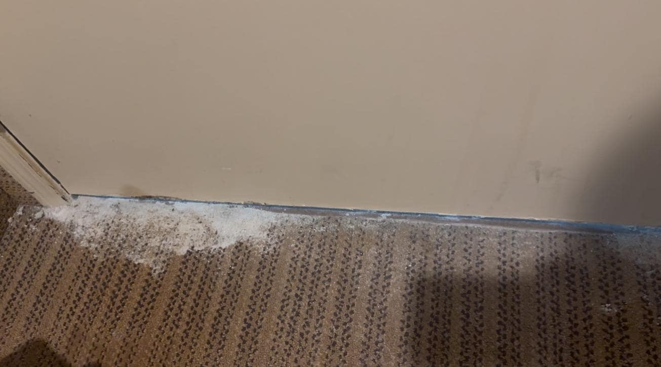 Door opening with dust 