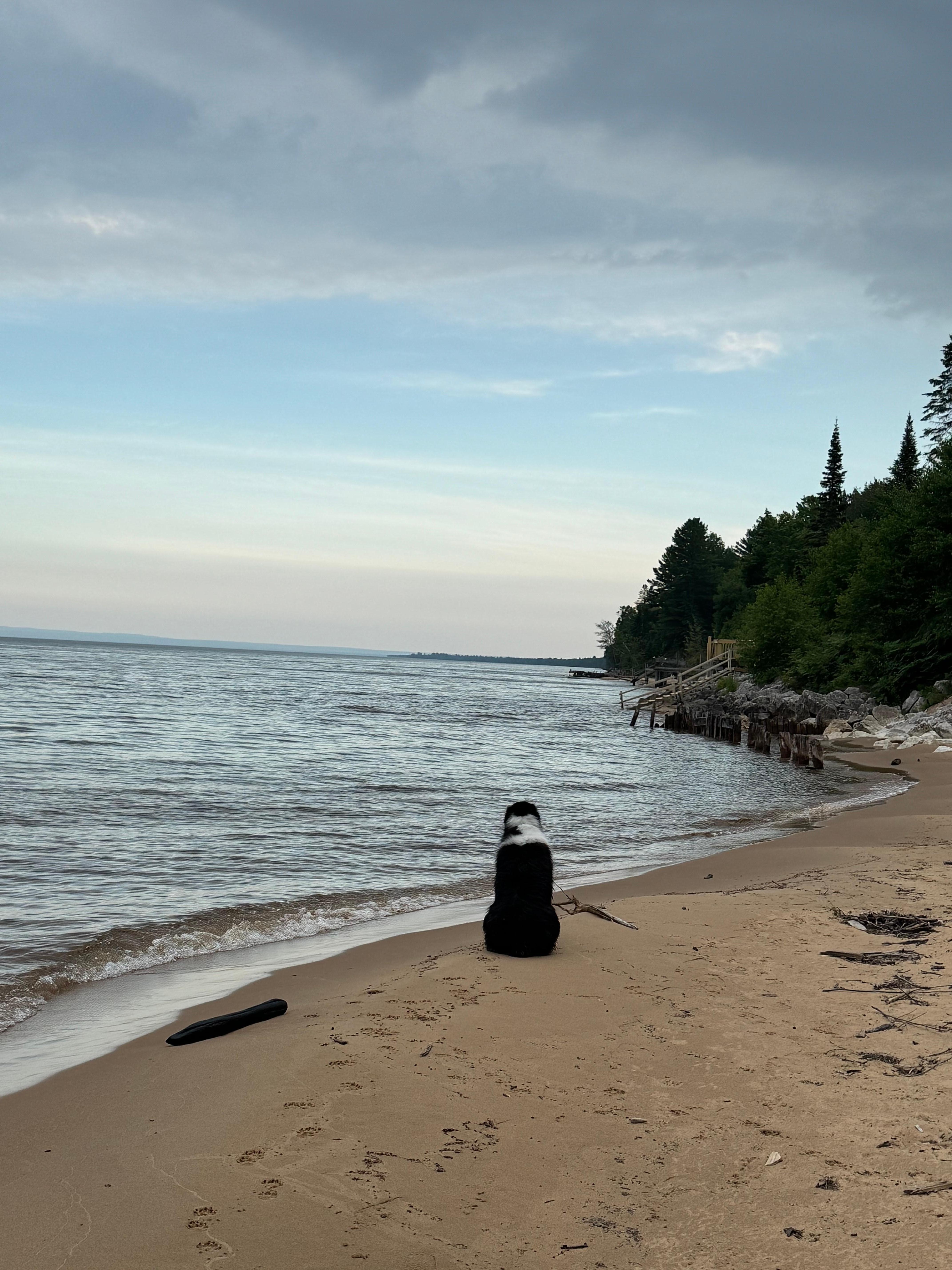 Louie loved the lake