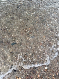 Rocky shores for fun rock hunting!