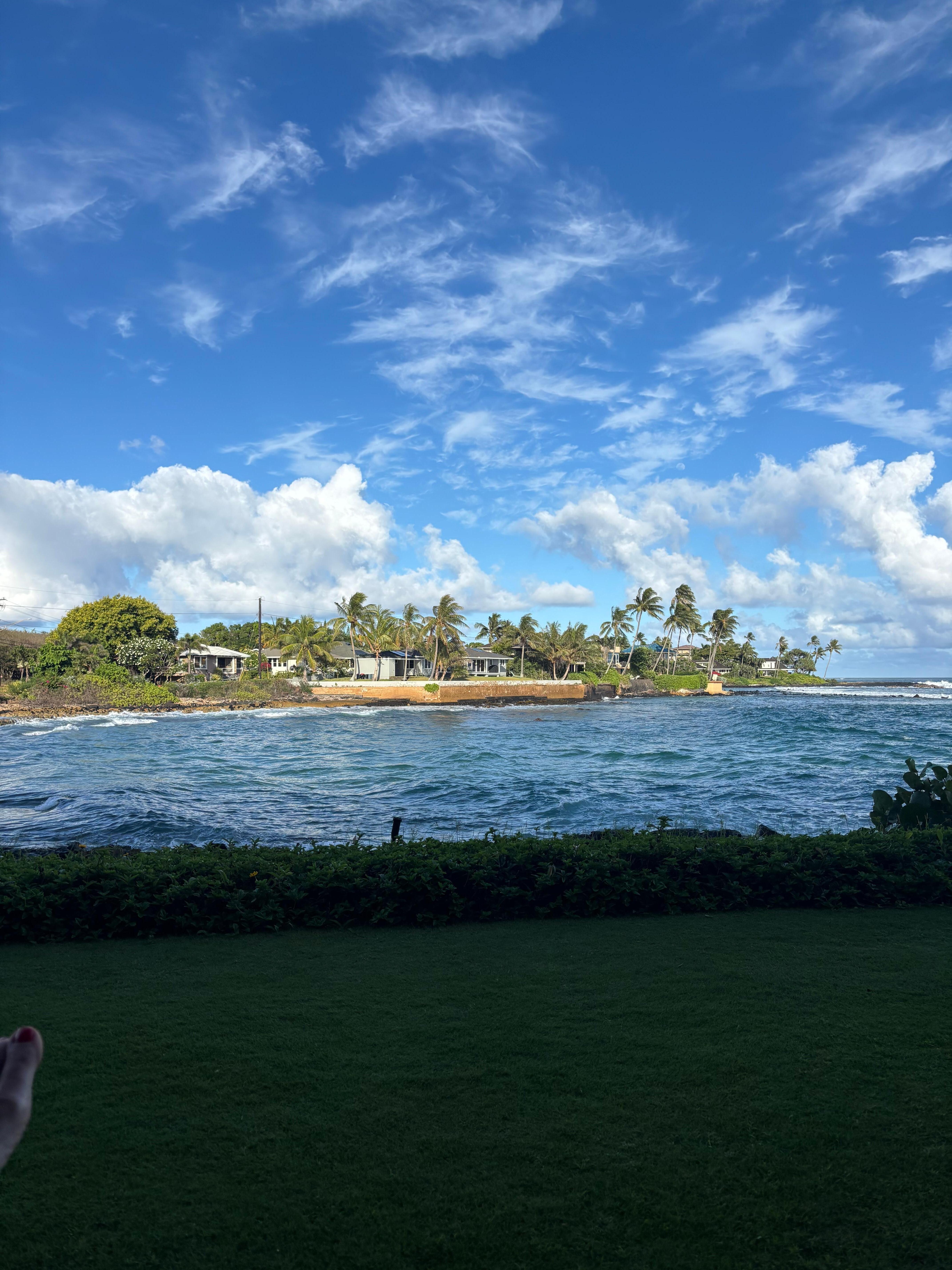 View from lanai