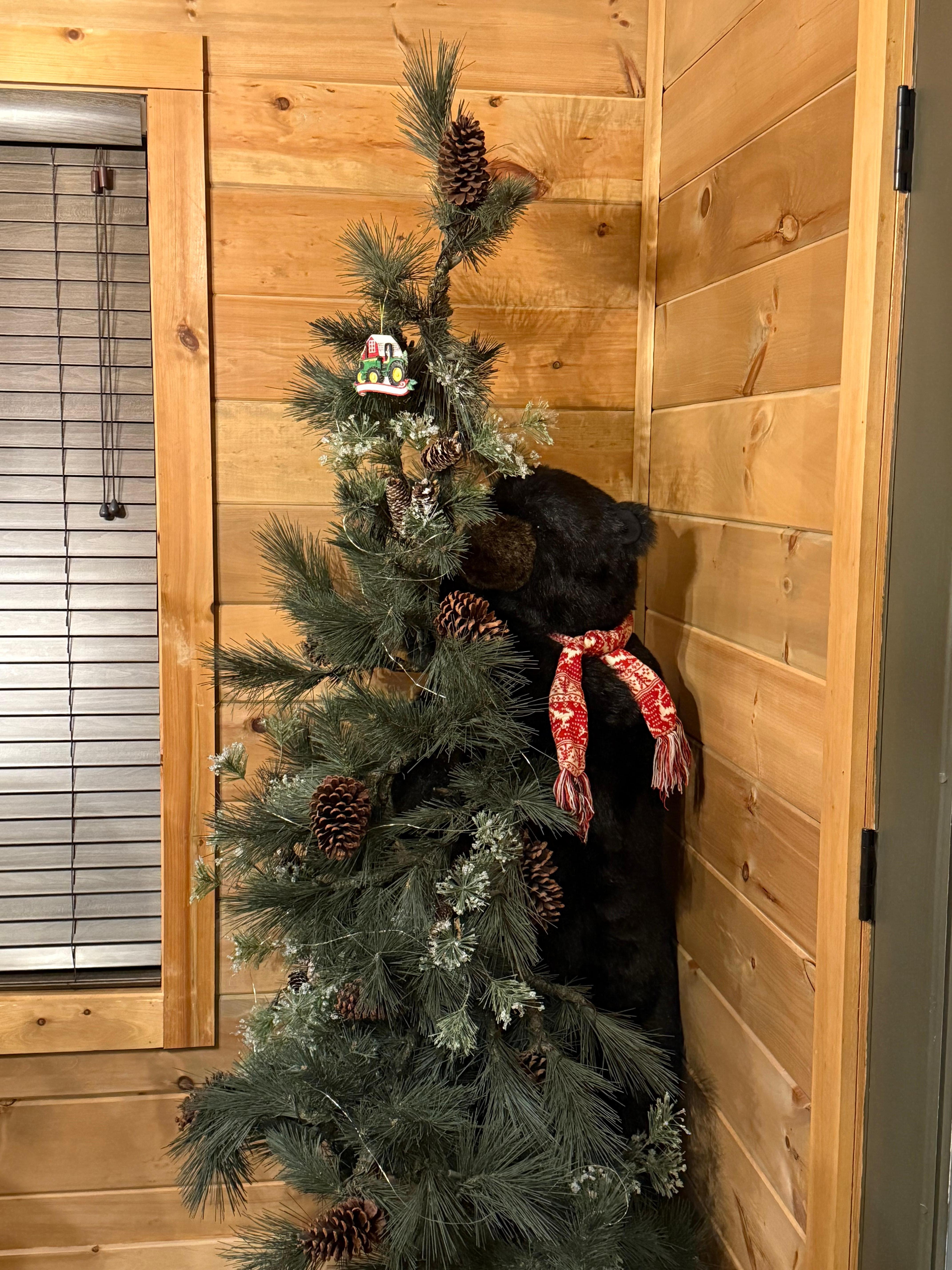 We loved our visitor lol.