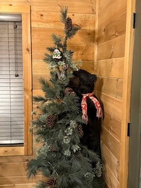 We loved our visitor lol.