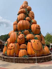 Dollywood