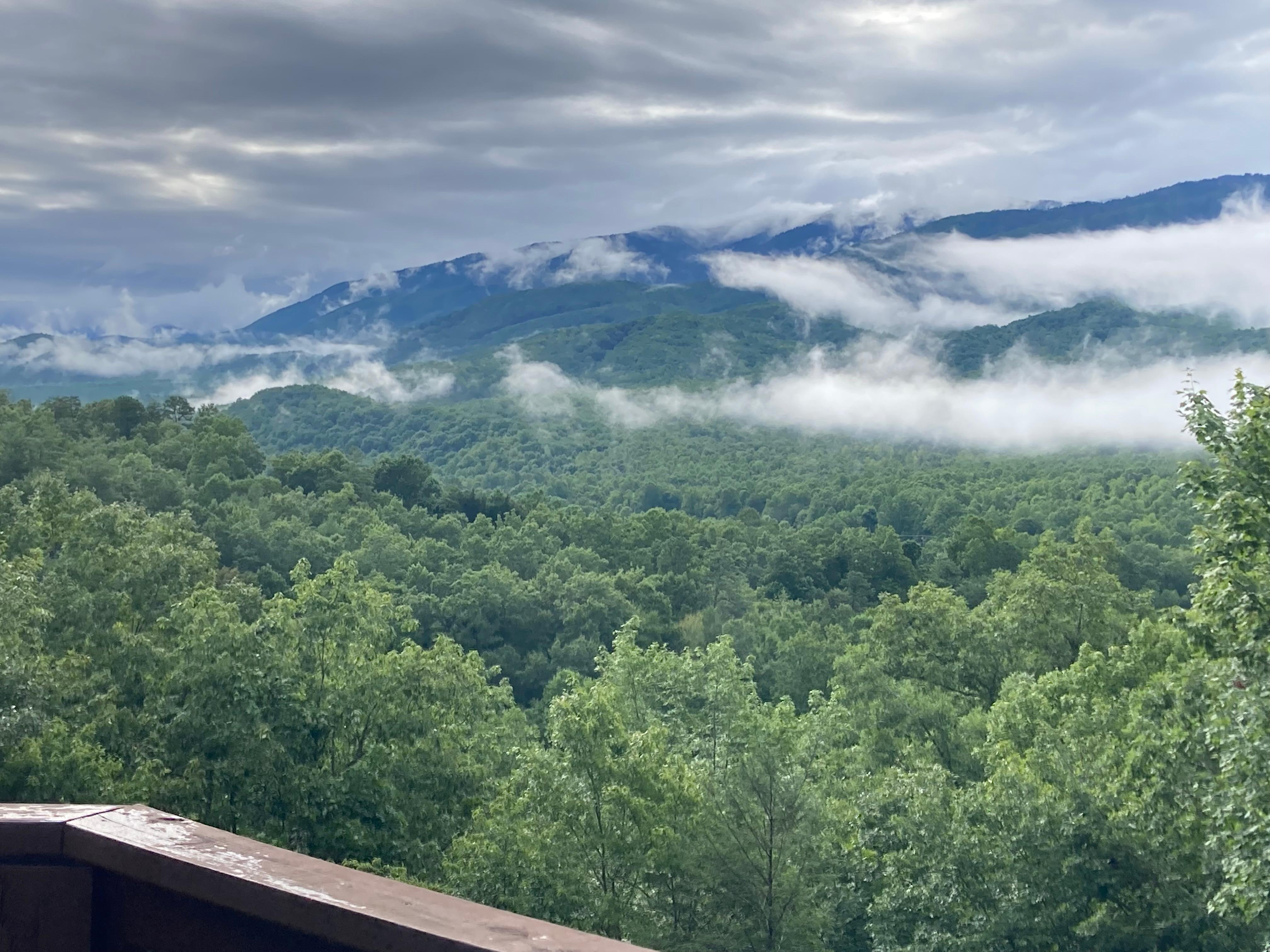 Another from the deck. 