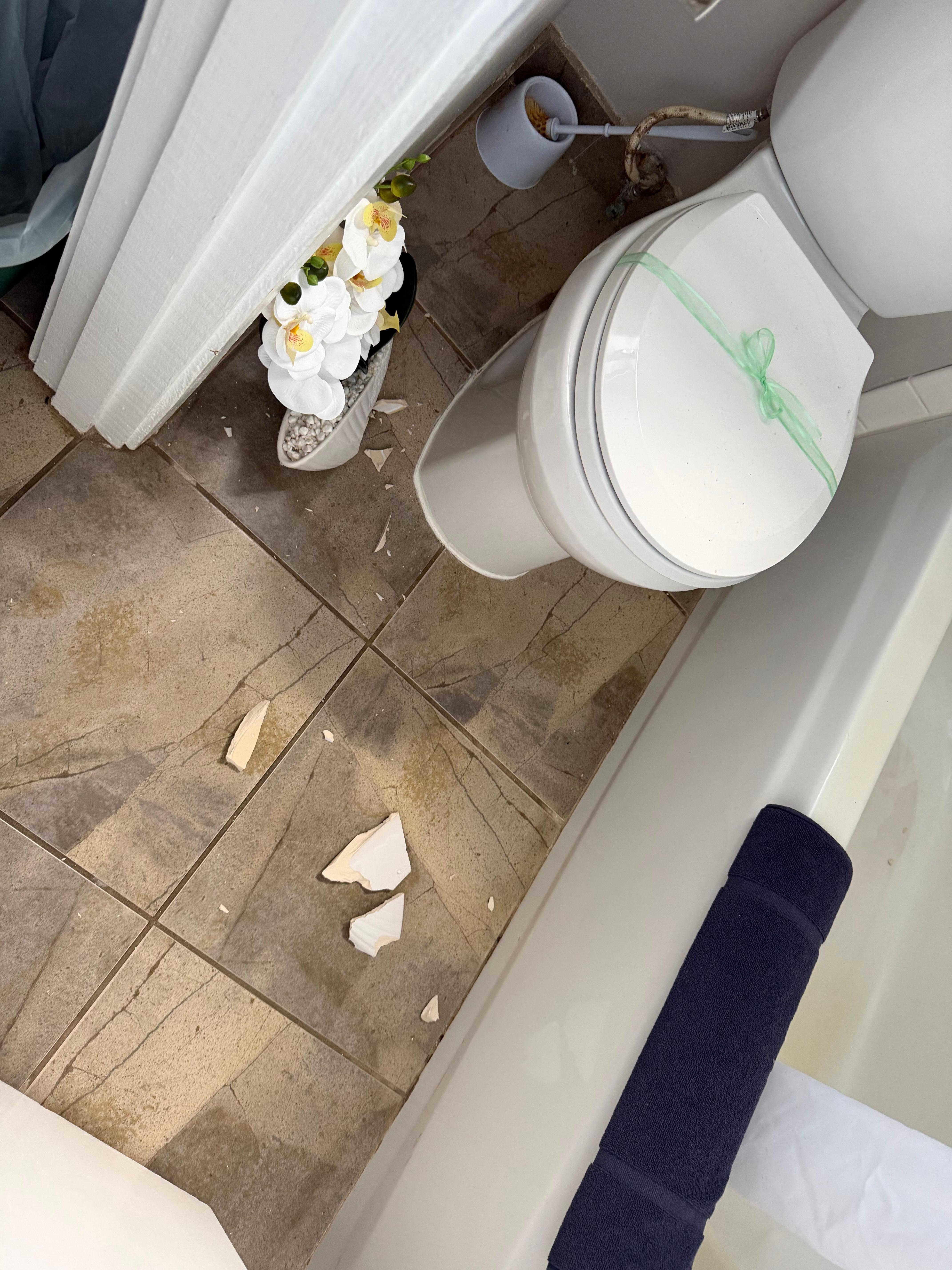 This is forgivable because it probably fell when nobody was there before I came, but still… it was the foreshadowing of a bad rental. 