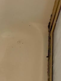 Dirty shower floor with black mold along door