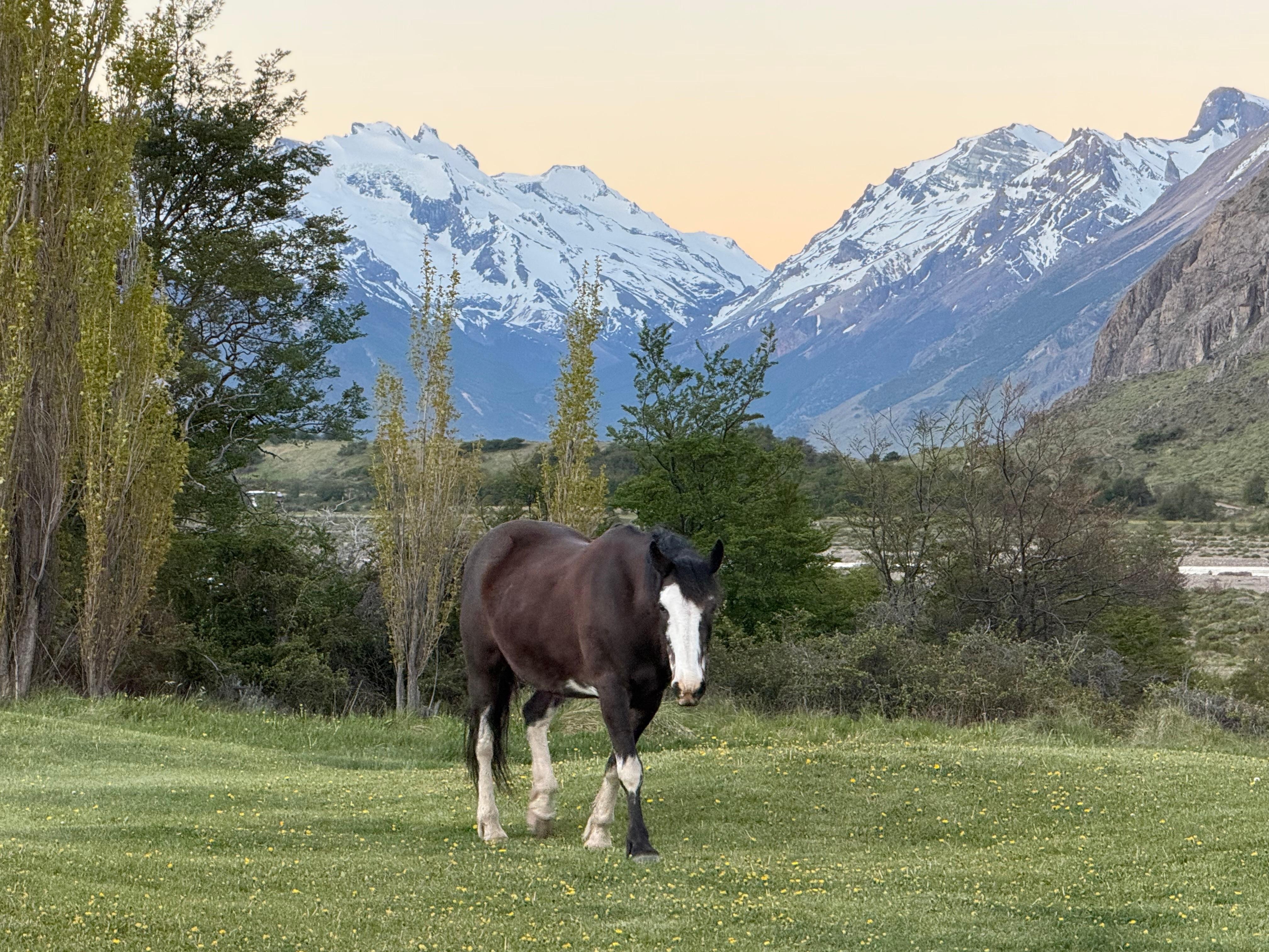 View from the dinning