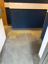 Hallway carpet to rooms from elevator
