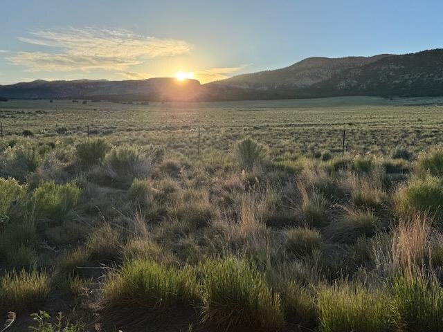 Beautiful sunrise