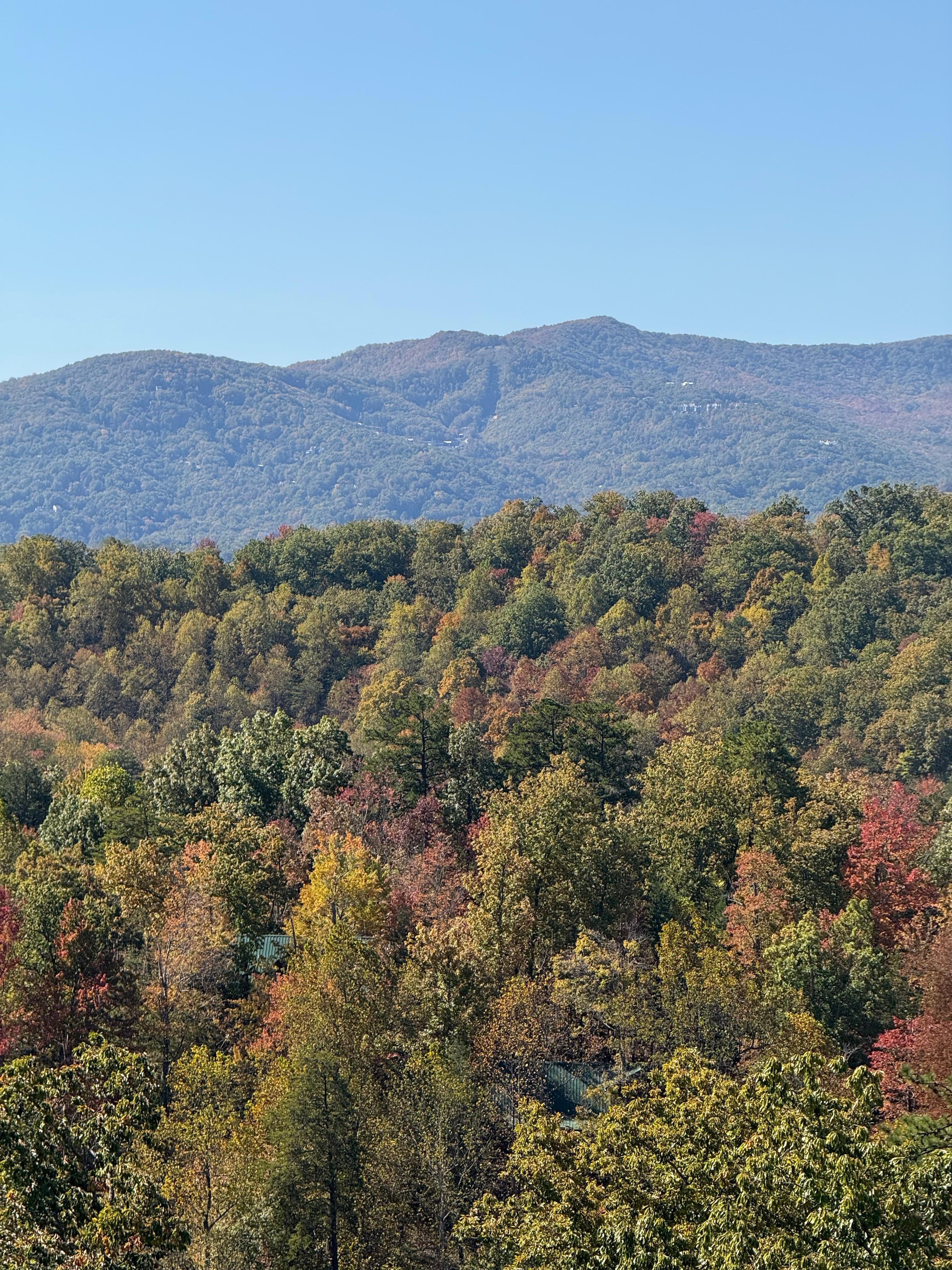All 3 of these photos were taken from the main floor balcony 