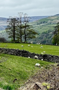 Wensleydale near Askrigg