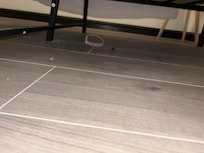 Rubbish under the bed