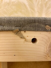 Within the bed structure itself, I found two more bed bugs, confirming that the infestation was deeply rooted