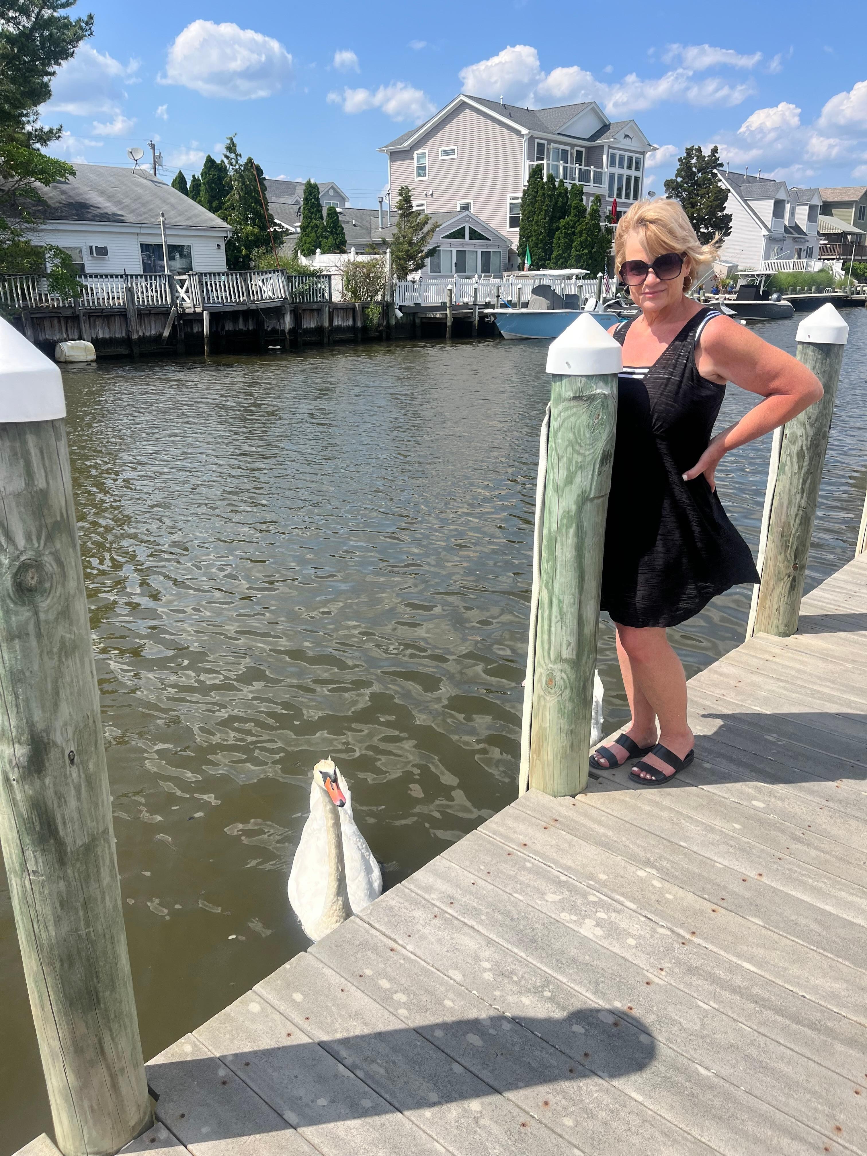 Loved meeting the swans.