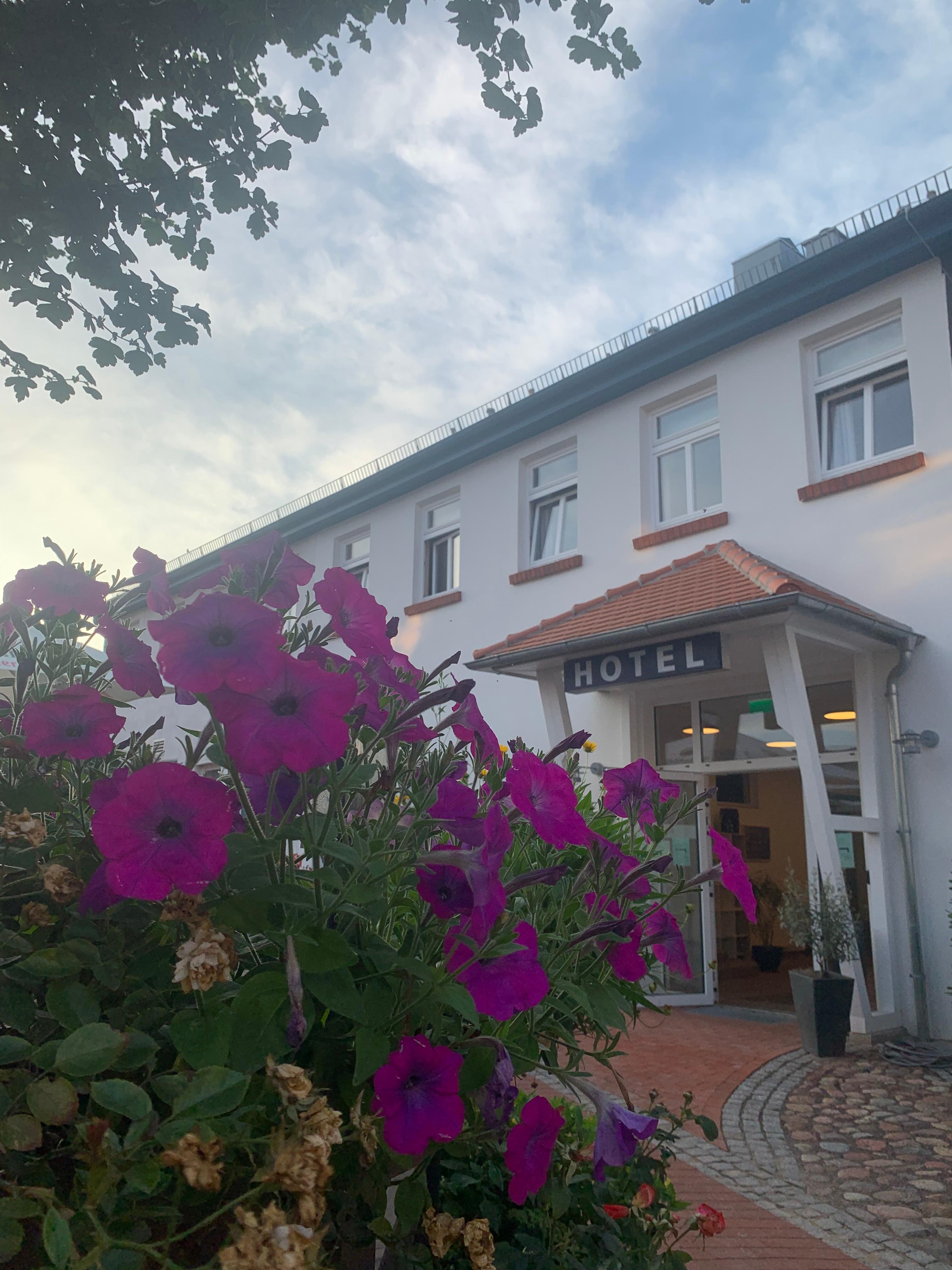 Pension Töpferhof 