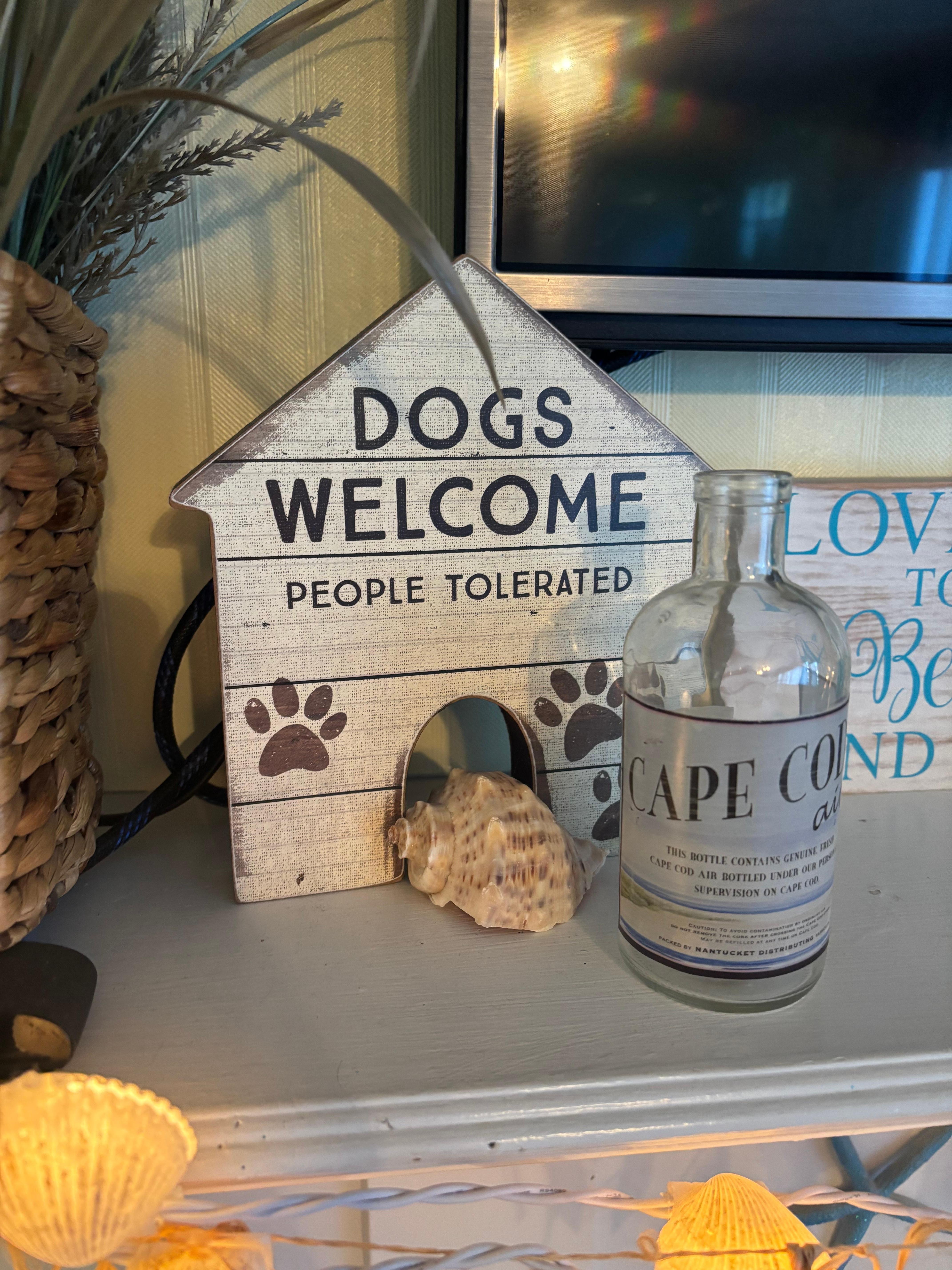 Our pup felt right at home! 