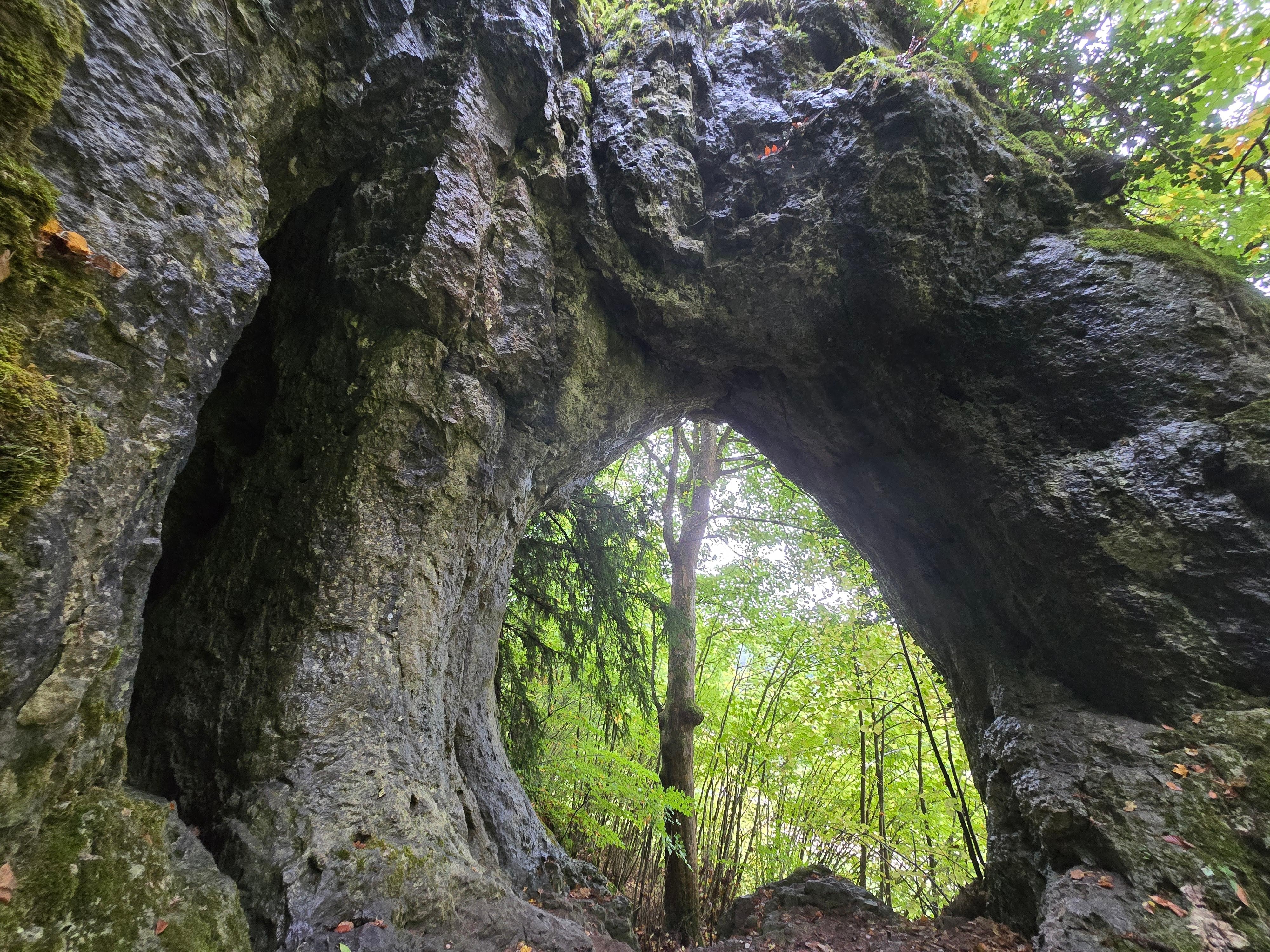 Felsentor bei Gößweinstein (4 km), dort auch Einkaufsmöglichkeiten!
