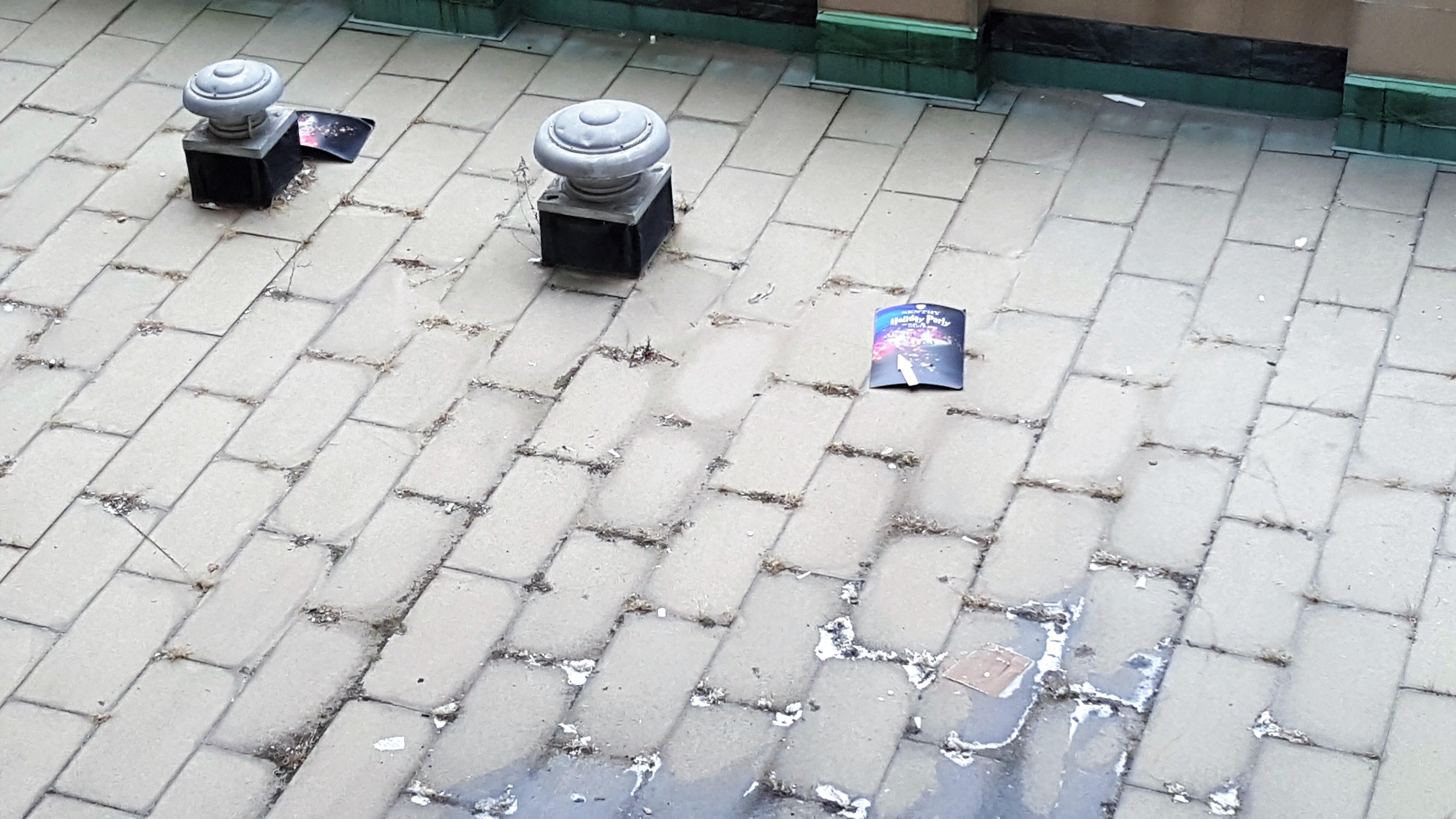 Trashy view from room