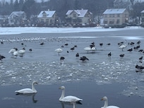 The pond near the apartment