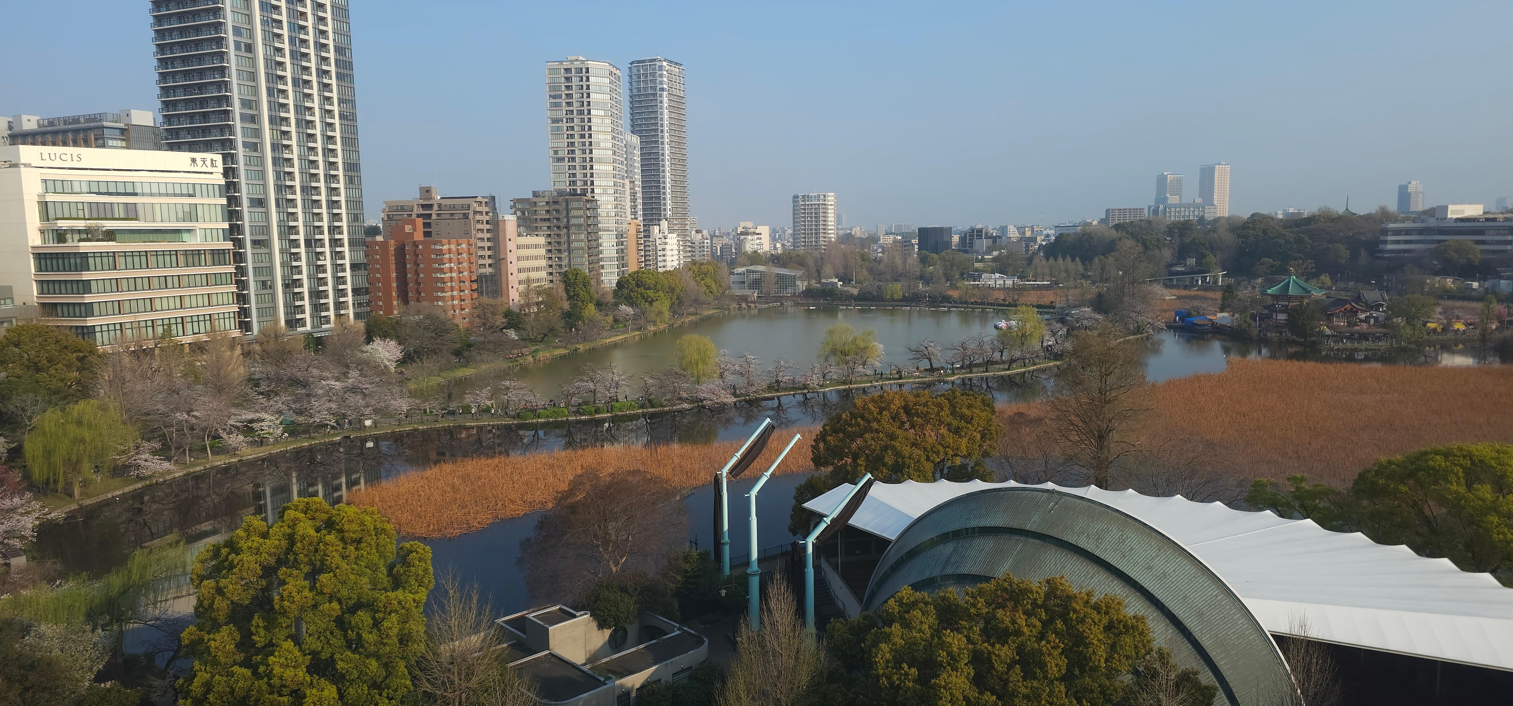 View of Ueno Park from room.