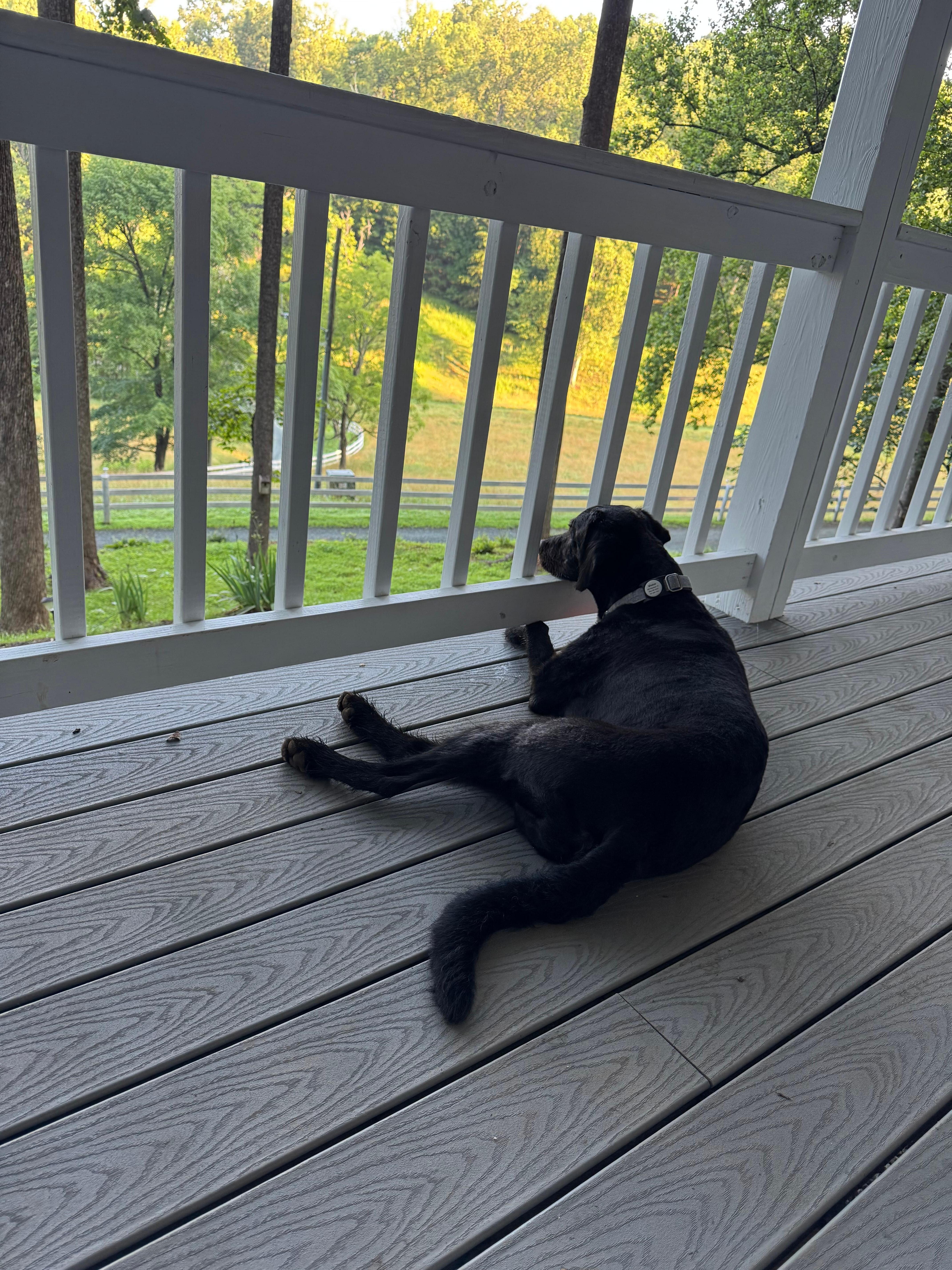 Time to chill out