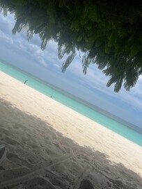 Beach day