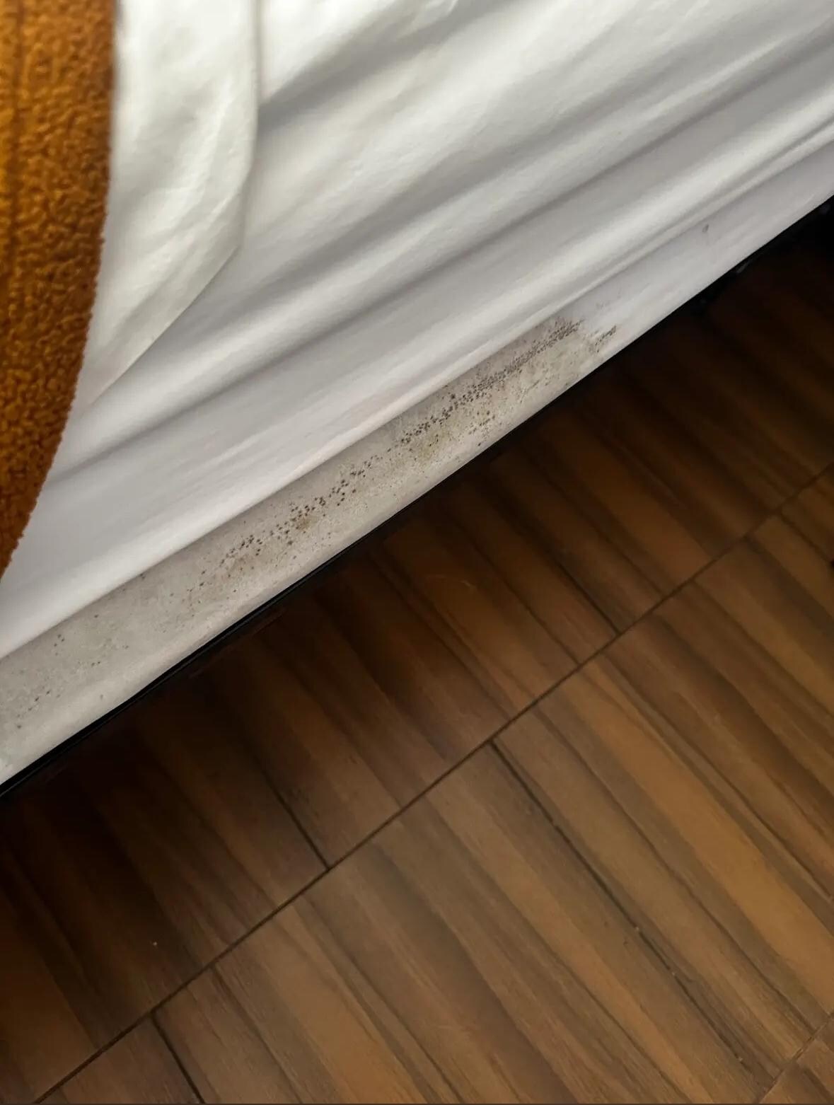 Someone has vomited which hasn’t been even clean. Completely disgusting 