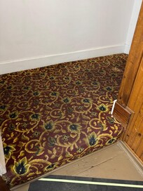 Looked like it hadn’t seen a vacuum for weeks