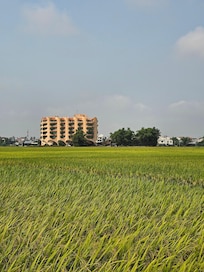 View overseeing rice paddy fields