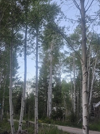 Great view