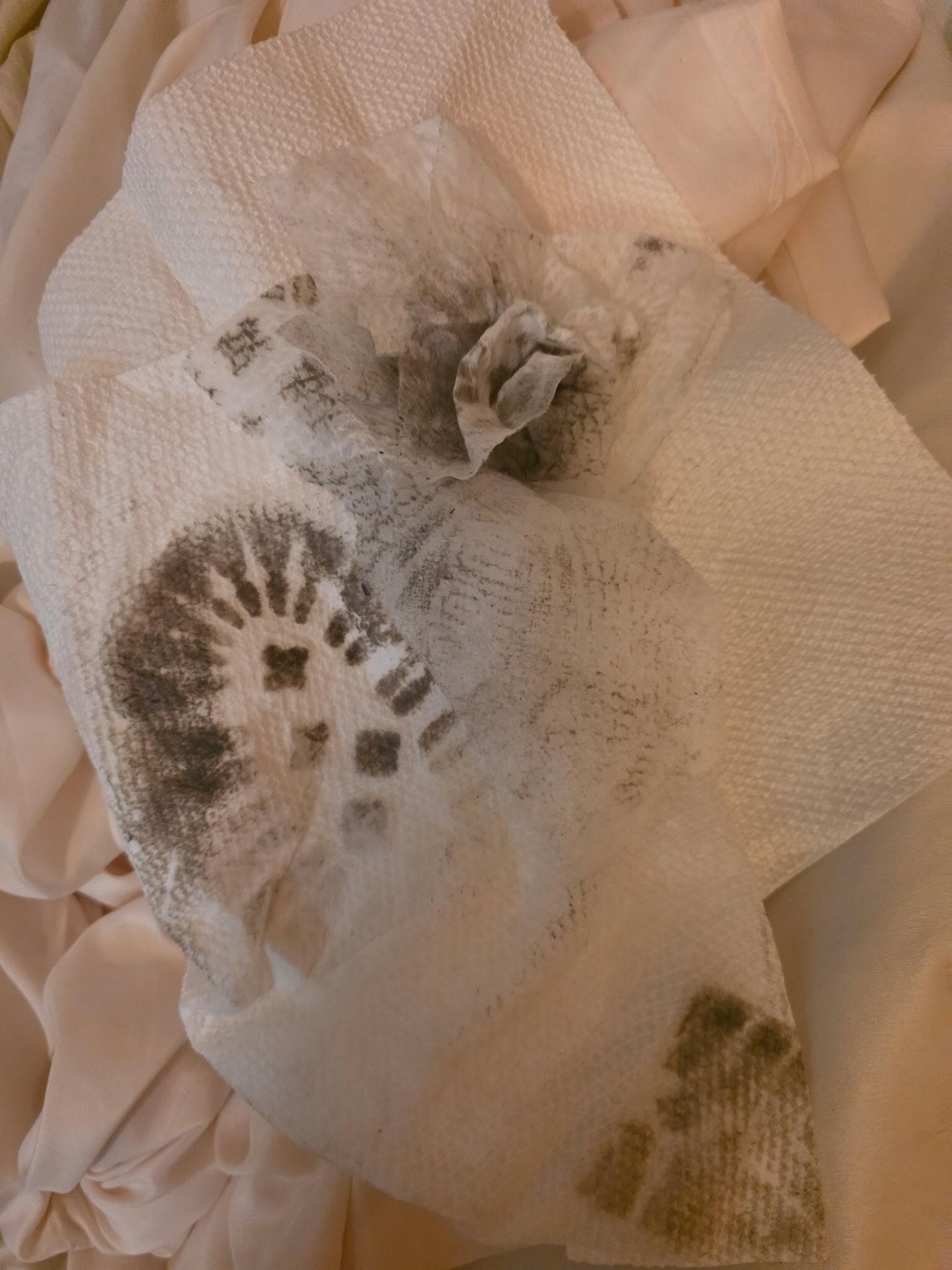 Dirt from the floors 