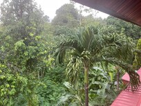 The view at the back of our room