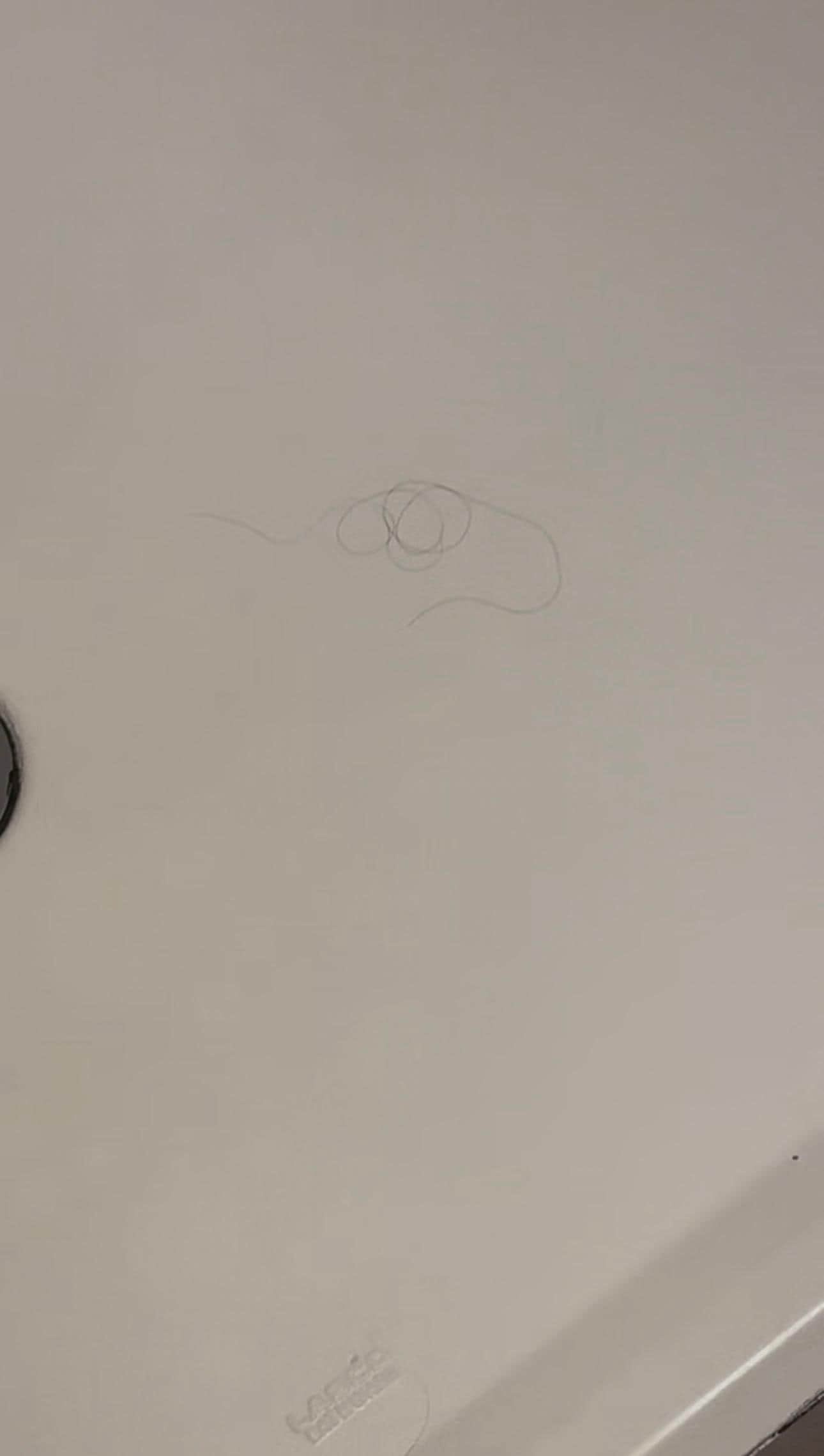 Shower floor, there was more but I have it on video