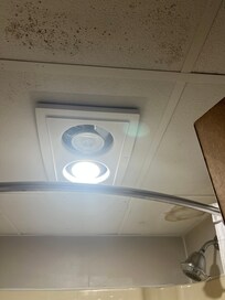 Bathroom ceiling had lots of mold