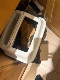 Property not cleaned. Bin overflowing