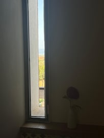 Bathroom view