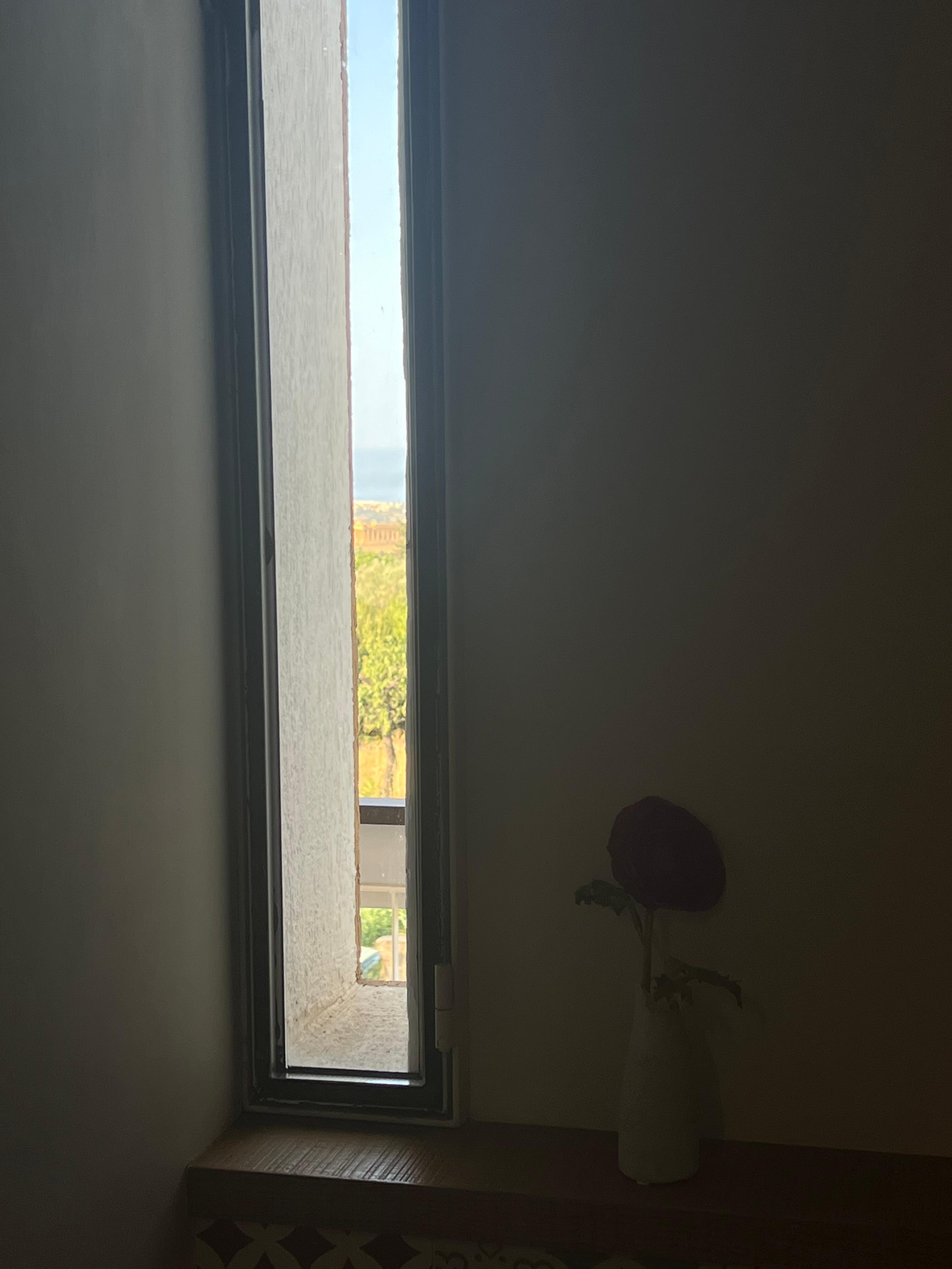 Bathroom view